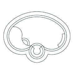 kidney-illustra