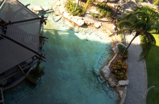 trends in pool design Pool builders San Antonio Plant islands
